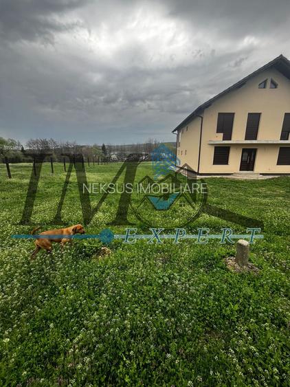 Teren intravilan de vânzare la ieșire din Petresti - 3
