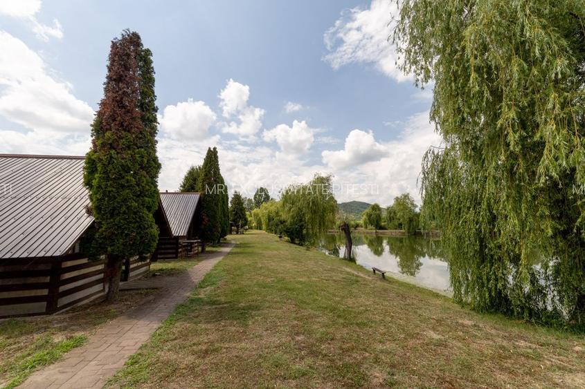 Se vinde Balta Flamina - Sat Bunești, Com. Mălureni - 7