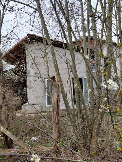 Teren intravilan + constructii in Hodis, jud Arad