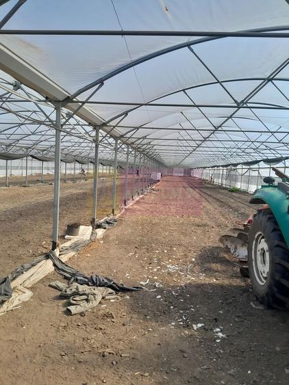 VANZARE TEREN 3100 MP - SAT ROSIORI (IL)