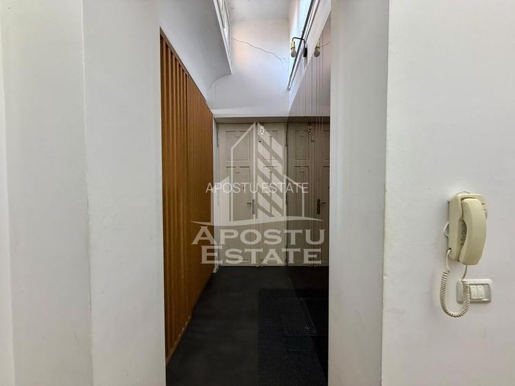 Apartament cu 4 camere de inchiriat, petfriendly, Centru,Timisoara - 10