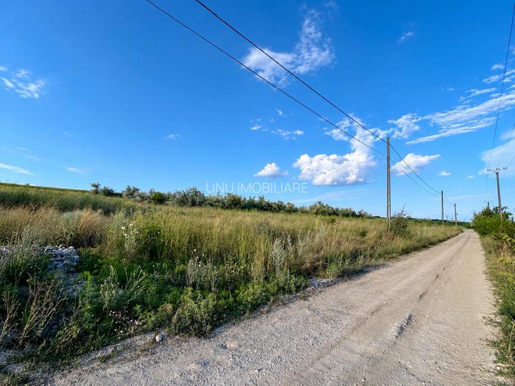 Teren pentru Hală 1000 mp zona Metro lângă Zeelandia, 20,30 m deschidere, Aproape E85, Ideal Investiție Industrială - 4