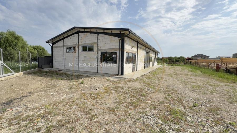 Inchiriere Hală Producție/Depozitare 300 mp, Teren 1791 mp - Carei - 2