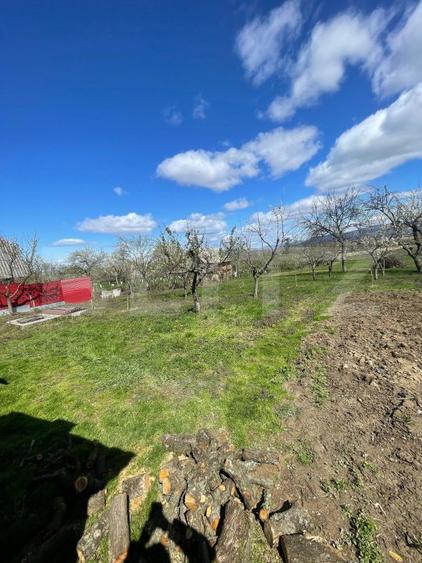 Casa cu 3 camere, 90 mp, 2 anexe gospodaresti si teren de 3000 mp, zona Crucisor