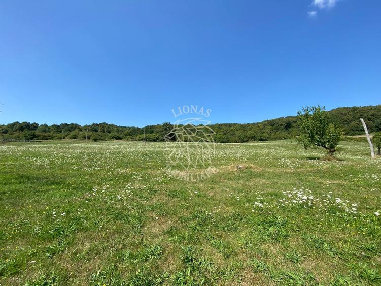 Teren 11.000 mp-ideal cabana/ferma-Unirea-Valea Slatinitei