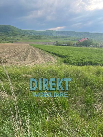 Teren de vanzare, localitatea Arcalia