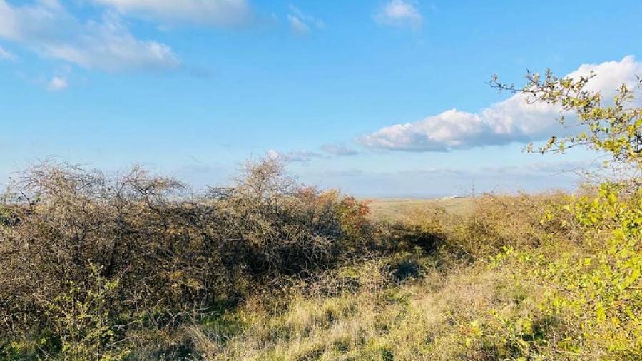 RASOVA Cochirleni Teren extravilan 38 Hectare comasat 100%