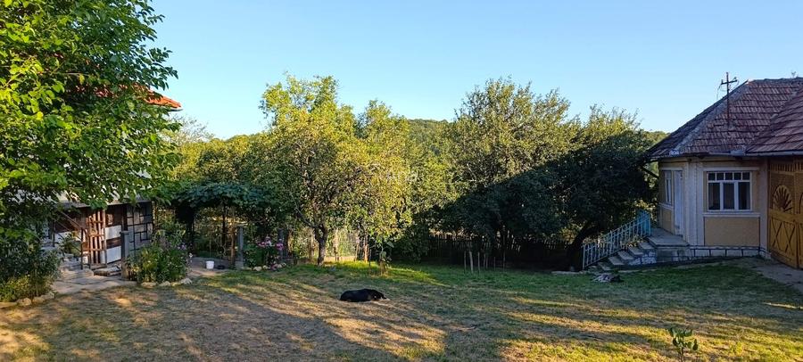 Casă de vânzare cu teren 35 ari în satul Prislop, comuna Boiu Mare, Maramureș - 11