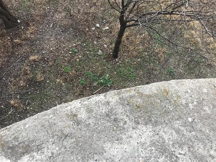 Casa de vanzare in Golesti, parter si etaj , 220 mp construiti , teren 916mp, la