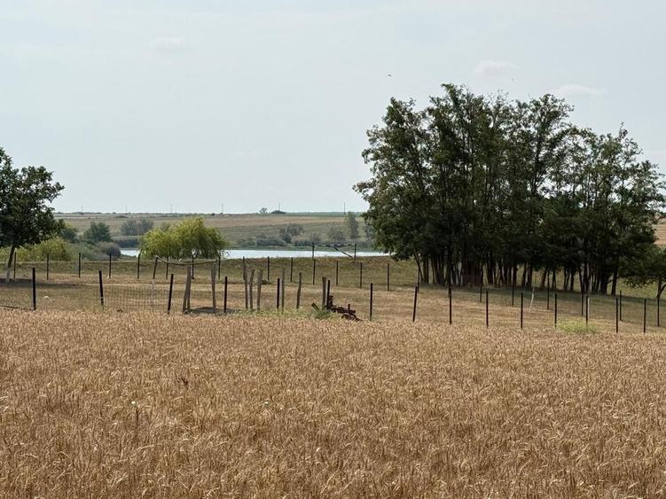 Teren intravilan Miersig, vedere la lac. 12,5 E/mp neg. Comision 0