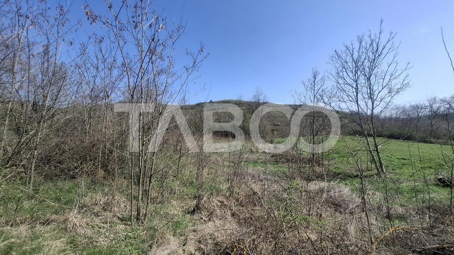 Teren intravilan de vanzare 1450 mp Slimnic Sibiu