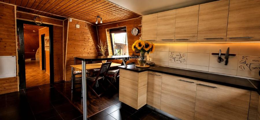 Proprietar, casa dom geodezic, langa padurea Snagov - 11