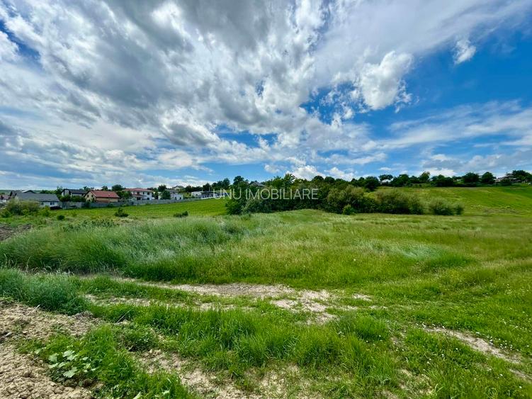Teren 1.3 ha Aroneanu sat Dorobanț, Iași, pret 38 EUR/mp, Parțial Intravilan - 6