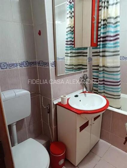 Apartament de vanzare 1 camera in Tatarasi - 6