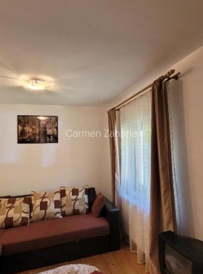 Casa de vacanță Râu Mare Retezat - 7