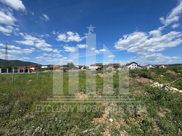 Teren intravilan | 450 mp | 13 ml deschidere | Alba-Micesti