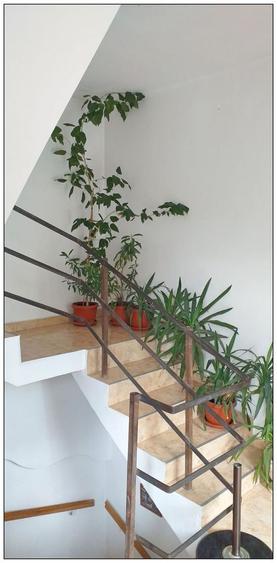 Vanzare Casa Str Lunga Carierei