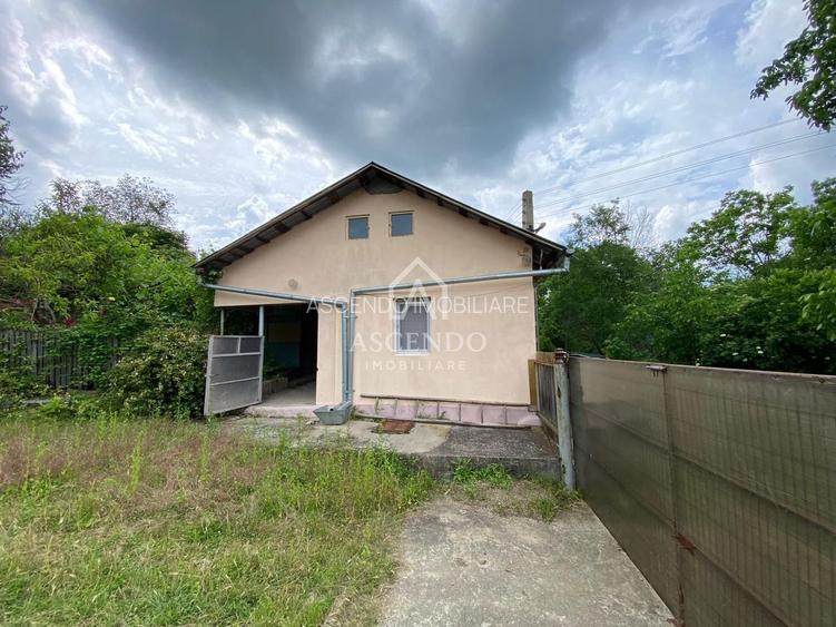 Domeniu 15.900 mp în Fințești | Casă + Investiție Dealu Mare - 7