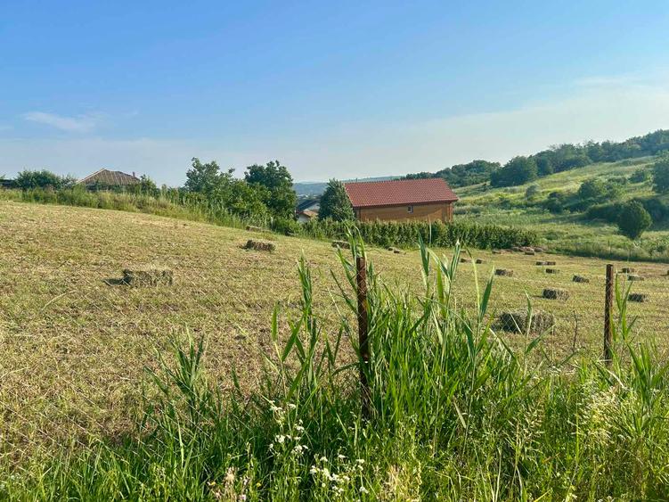 Teren intravilan 1529mp Valea Lupului zona de case la 1,3km de europeana