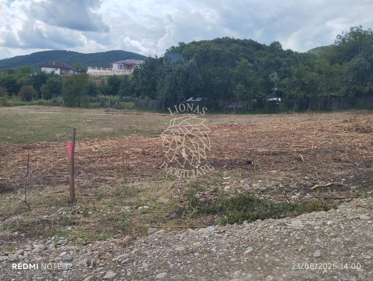 Teren 1200 mp-pretabil casa si gradina-Viisoara