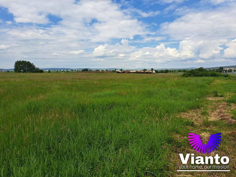 Oportunitate Teren Intravilan 9000mp-Turnisor
