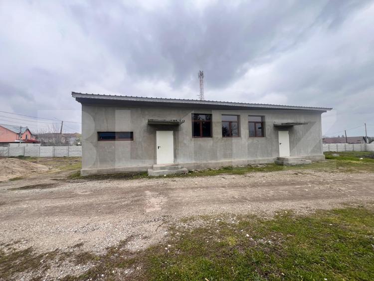 Hala 186 mp, Cosoveni, curte 2053 mp