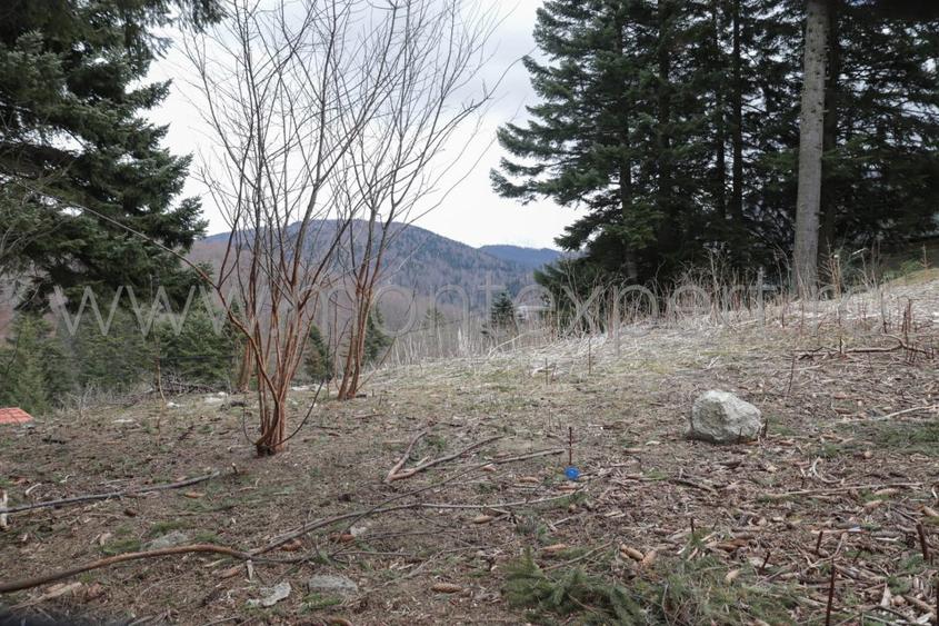 Busteni – Kalinderu, Teren Cu Vedere Senzationala Spre Muntii Bucegi!