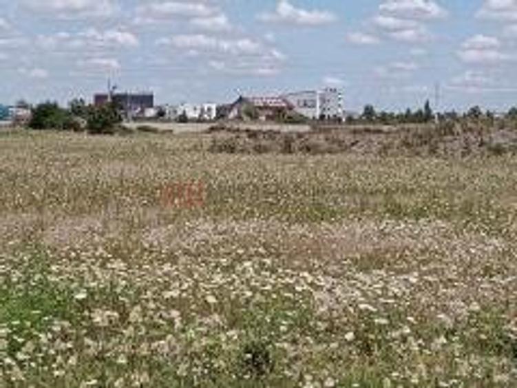 Teren industrial , Timișoara. Autorizație de construire inclusă