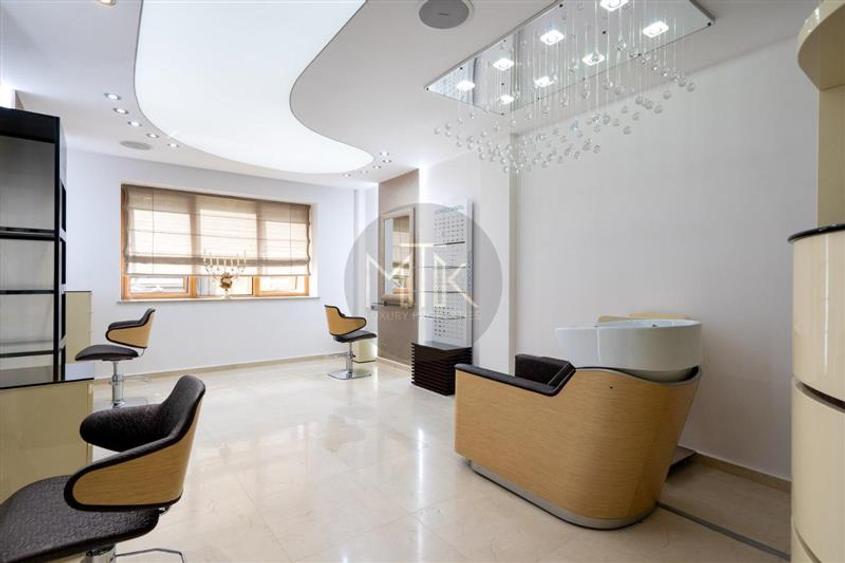 Proprietate premium cu curte – ideala pentru business-uri | LACUL TEI
