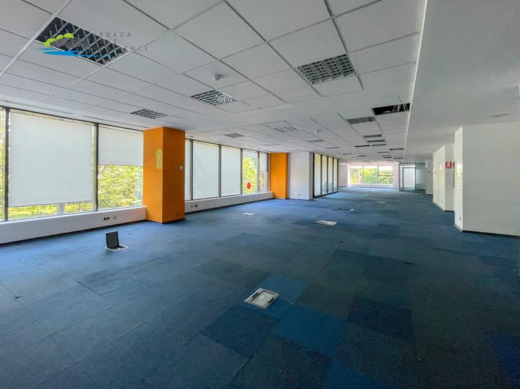 Spatiu de birouri Etaj 1 cu receptie exclusiva cladirea Delea Noua 2