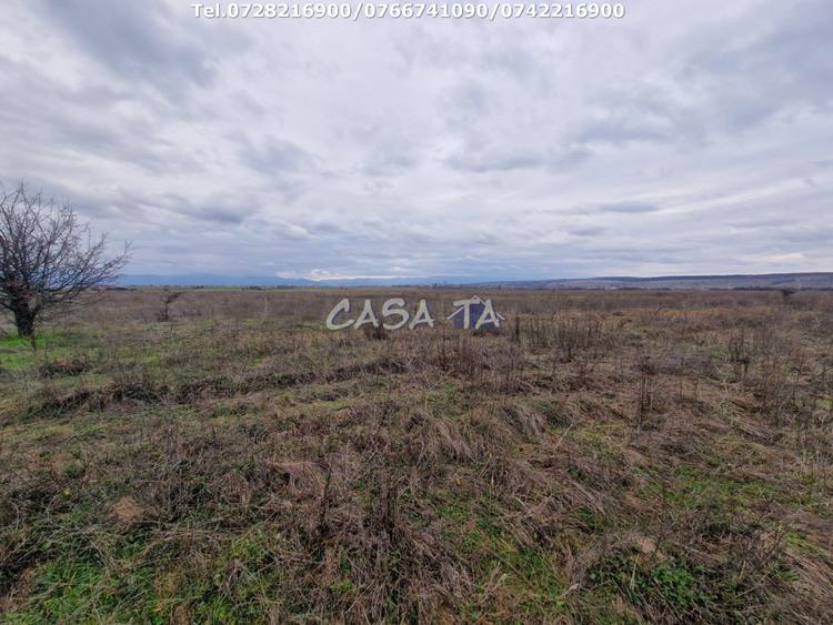 Teren Extravilan (5900 mp),situat in Targu-Jiu, Preajba-Dragoieni