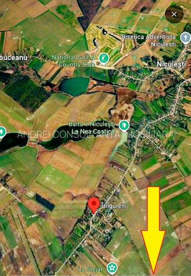 Vanzare 7500 mp teren in Butimanu ( aproape de Bucuresti ) cu pret negociabil - 12