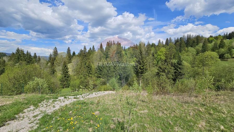 Teren 4048mp Campulung Moldovenesc, Strada Izvorul Alb, Suceava - 18
