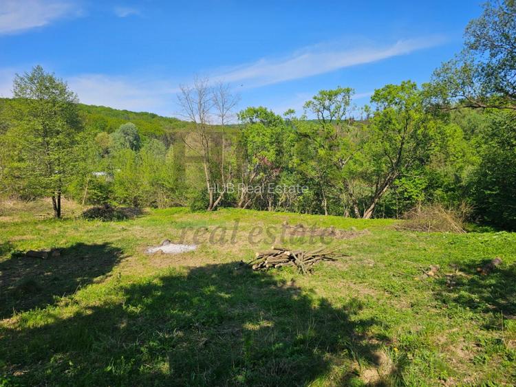 Teren intravilan | langa padure si parau | Luncani/Bacau - 3