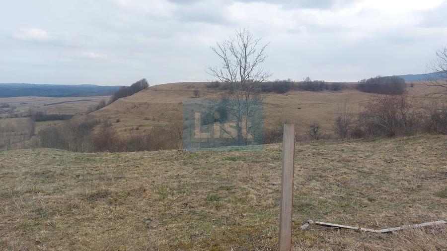 Casa traditionala din lemn renovabila cu teren 2295 mp Margau Cluj
