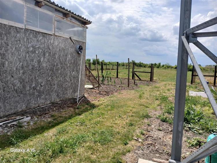RECO Microferma avicola la doar 14 km de Oradea