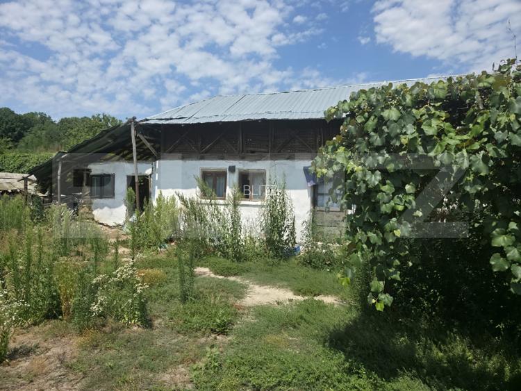 Teren 1.595 mp, construcții existente – Comuna Cobia, - 3