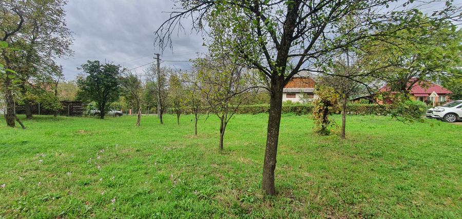Casă + teren de vânzare în Șișești, Maramureș