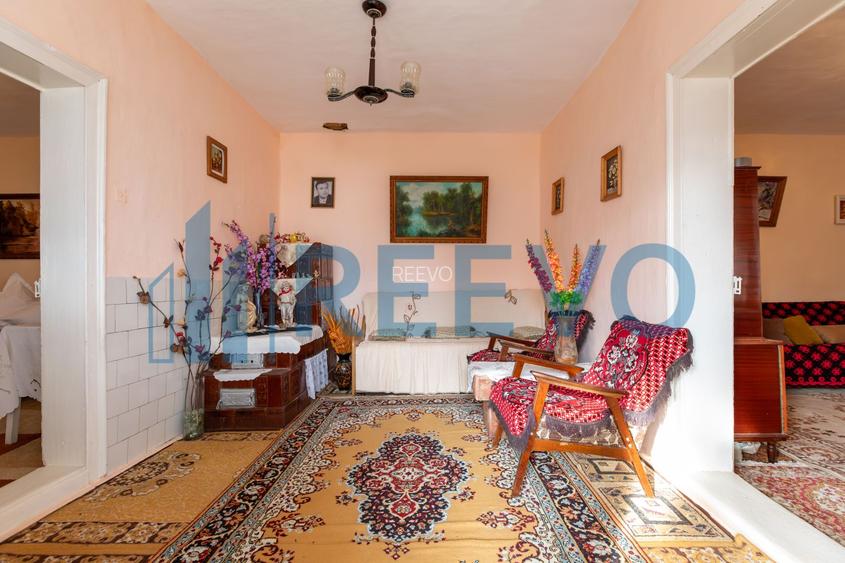 Casa si teren 3365mp Sascut - 4