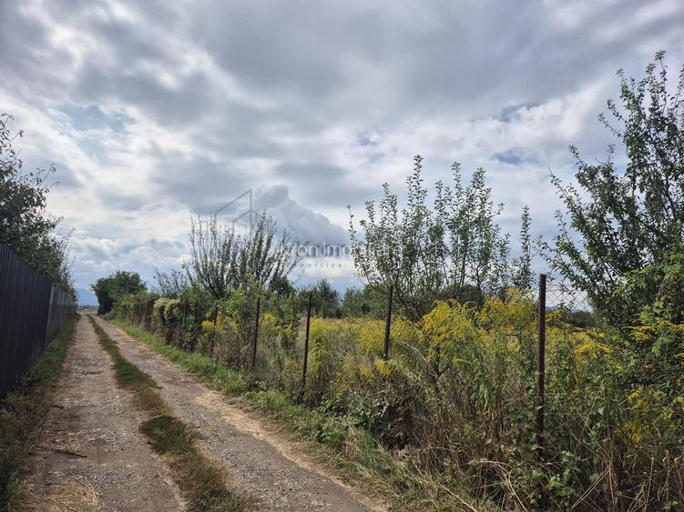 Teren intravilan Sânpetru – Livada - 5