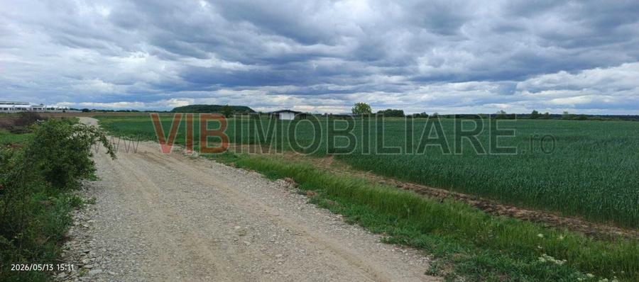 Teren Intravilan 31.900 mp, Corbeanca – Deschidere 70 ml, Zonă Rezidențială, Ide