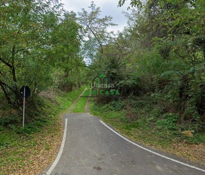 Teren 12.690 mp | 3.900 mp intravilan | Ocnele Mari- Slatioarele - 5
