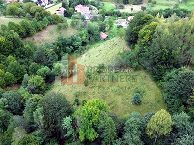 Teren de investiție în Moieciu, lângă Castelul Bran – 11.381 mp, vedere Bucegi - 16