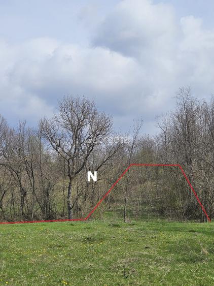 Vand Teren Intravilan in localitatea Slanic, judetul Prahova - 8