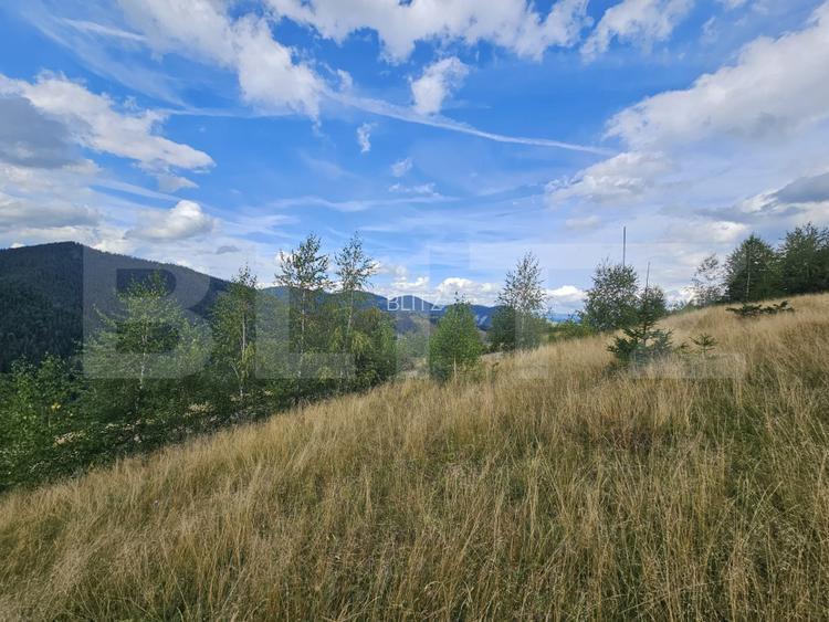 Teren intravilan 5.271 mp cu priveliște spectaculoasă – Gârda de Sus, Snide - 3