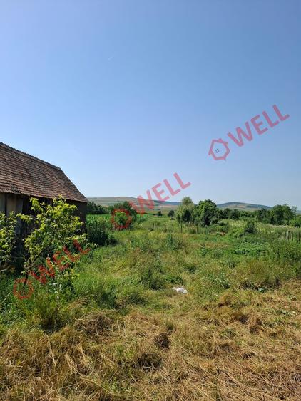DE VÂNZARE TEREN INTRAVILAN ÎN BĂLĂUȘERI