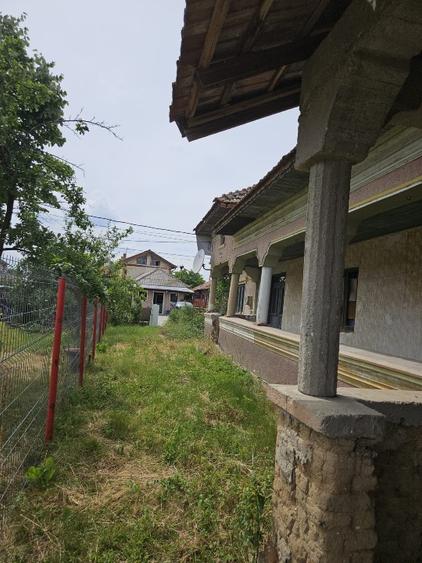Parcul național Comana