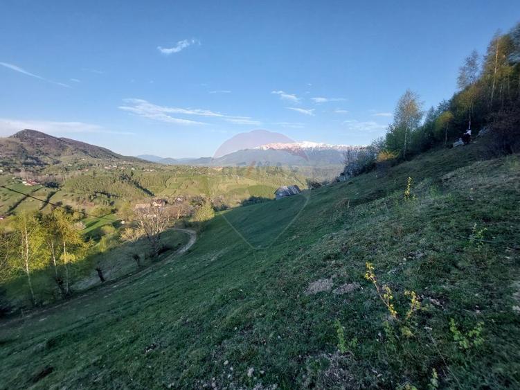 Teren intravilan panoramic în Peștera, Moieciu - 11048 mp