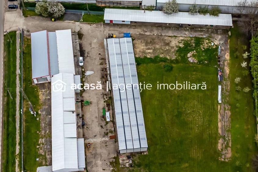 Hale depozitare/producție 2.000 mp si 10.000 mp teren în Pecica