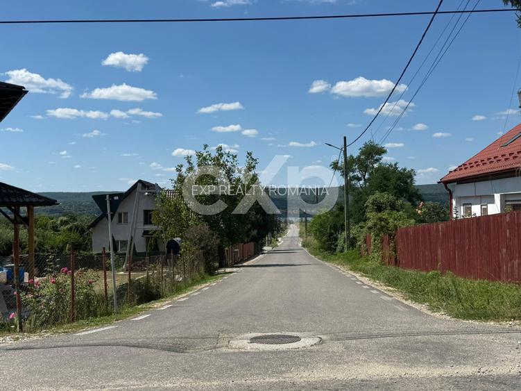Teren 14.000 mp în Budeasa cu vedere superbă către baraj - 5